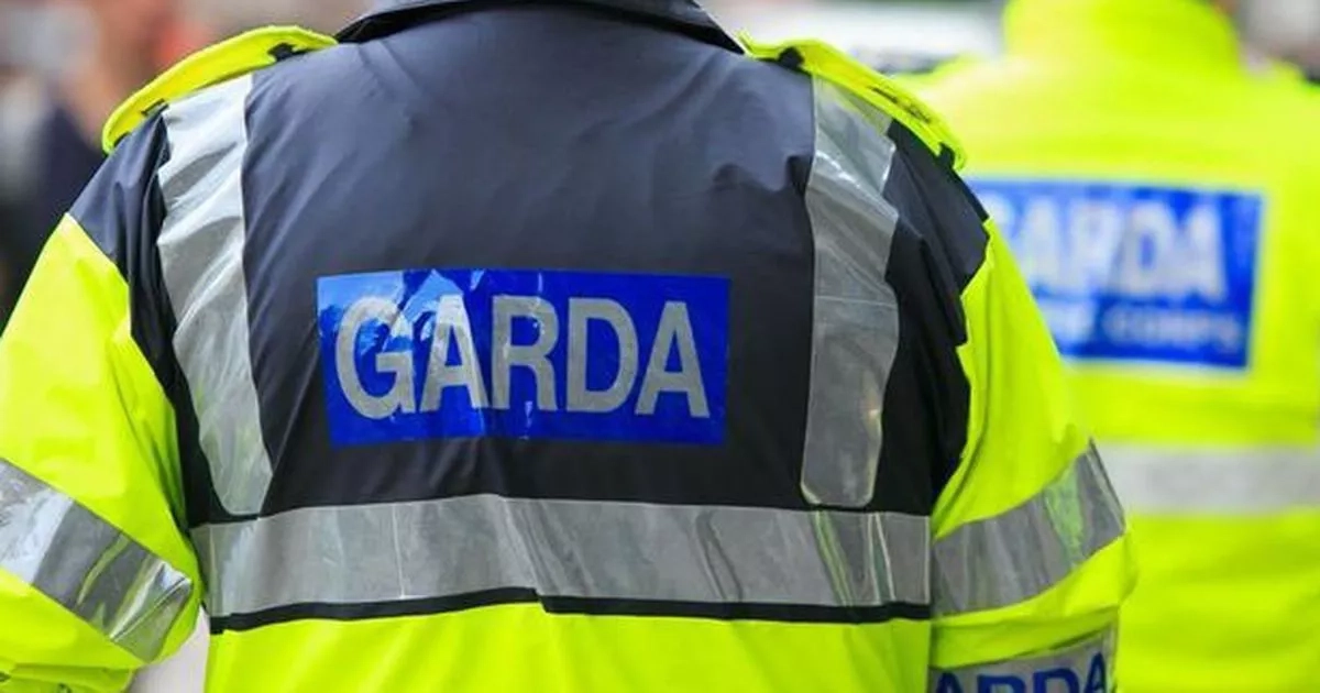 Five people arrested and imitation firearm seized in garda 'day of action'