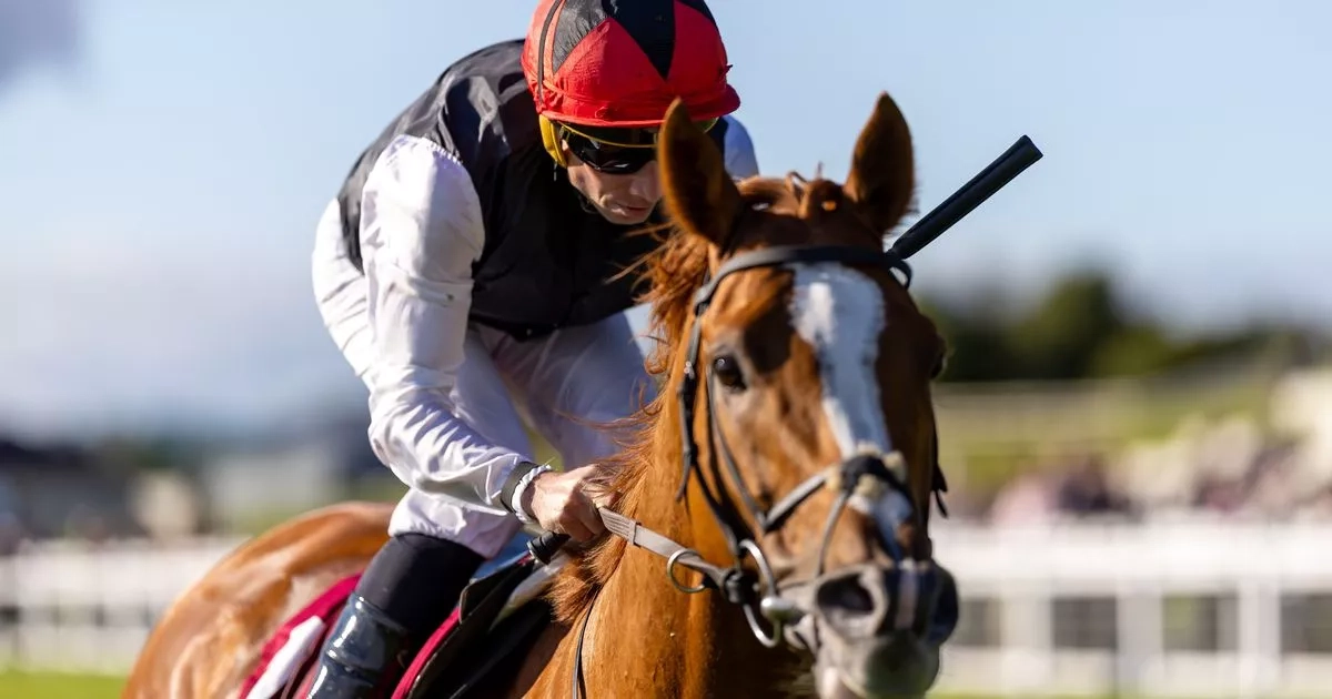 Huge blow for Aidan O'Brien as superstar horse is retired prematurely