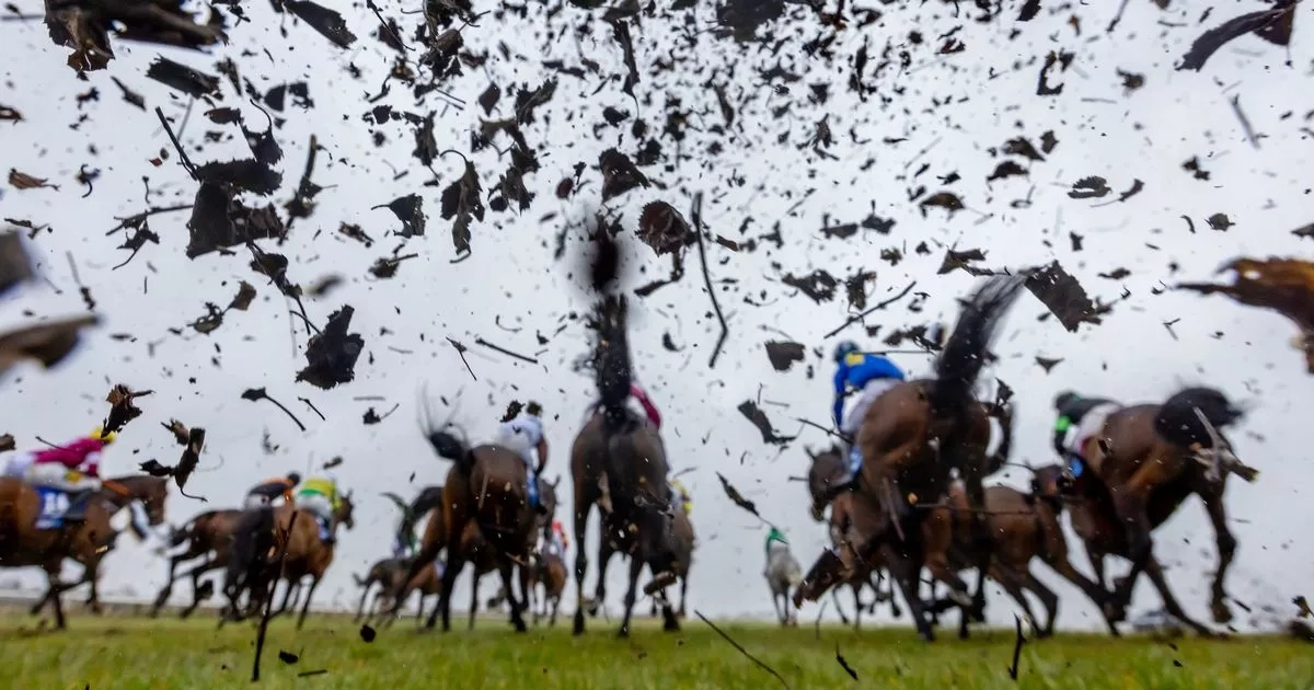 Irish Grand National full race card and tips - list of runners at Fairyhouse