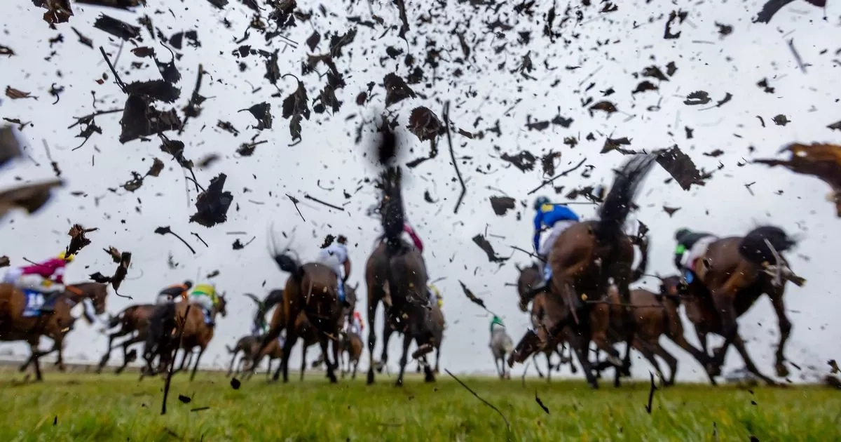 Irish Grand National live updates and more from the big race at Fairyhouse