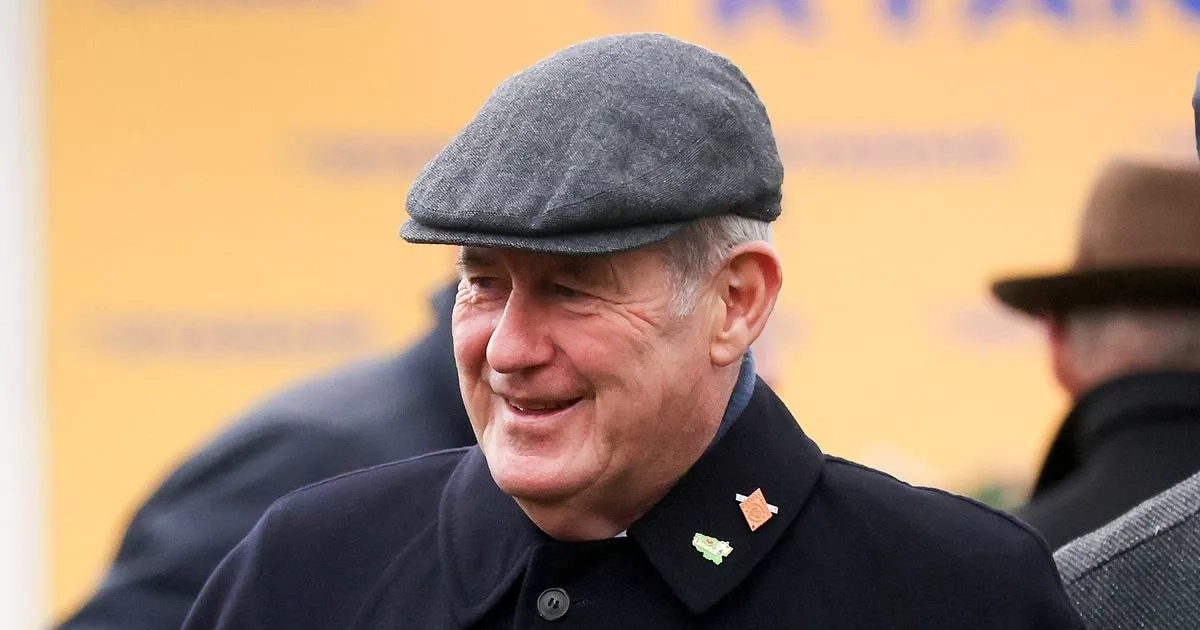 Which horses is JP McManus running in the 2025 Irish Grand National?