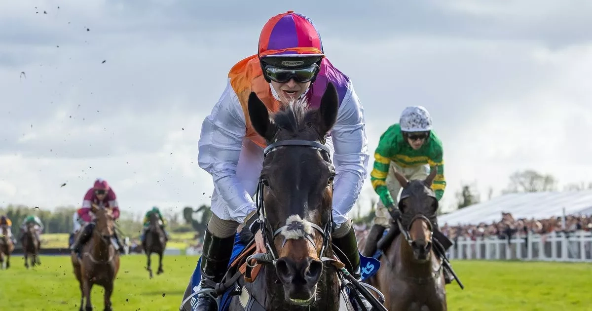 Ted Walsh pays tribute to 'great horse' Any Second Now as retirement confirmed