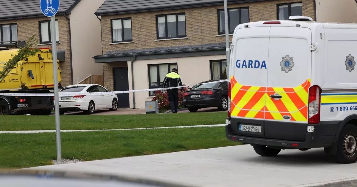 Tears in Mullingar as community plunged into grief over child's road death