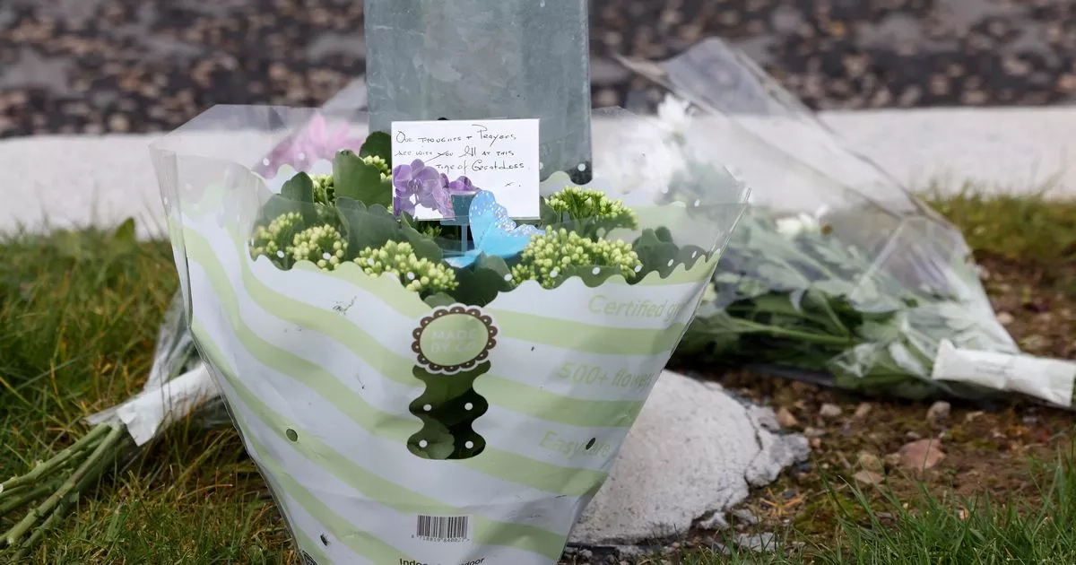 Four year old killed in Mullingar road tragedy named locally
