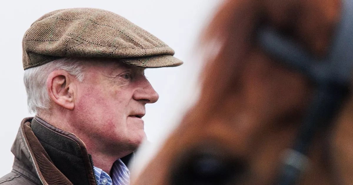 Punters flock to support Willie Mullins ahead of Trainers Championship showdown