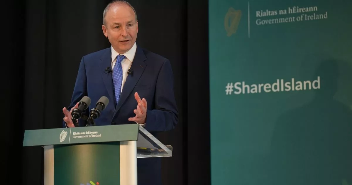 Taoiseach accuses Israel of genocide in Gaza as protest held at Dail