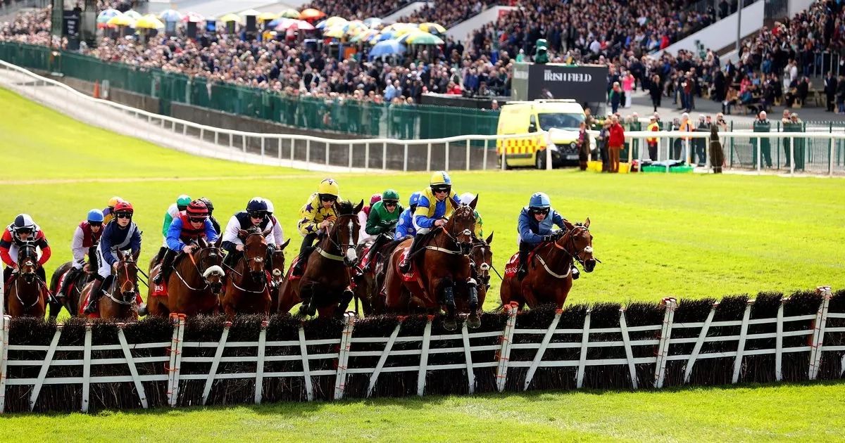 Punchestown Festival day 1 full race card and tips - list of runners on Tuesday