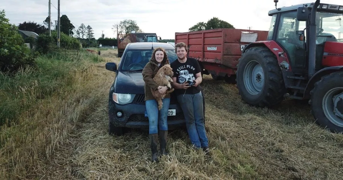 Young Irish farmer and YouTuber restocks century-old farm with innovative buys
