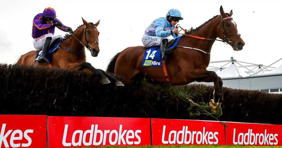 Punchestown Festival 2025 day 2 tips: Robbie Power's selections for Wednesday