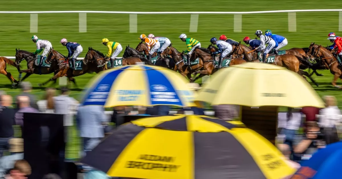 Punchestown Festival day 2 full race card and tips - list of runners Wednesday