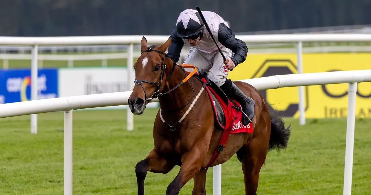 Punchestown Festival day 3 tips: Robbie Power's selections for Thursday