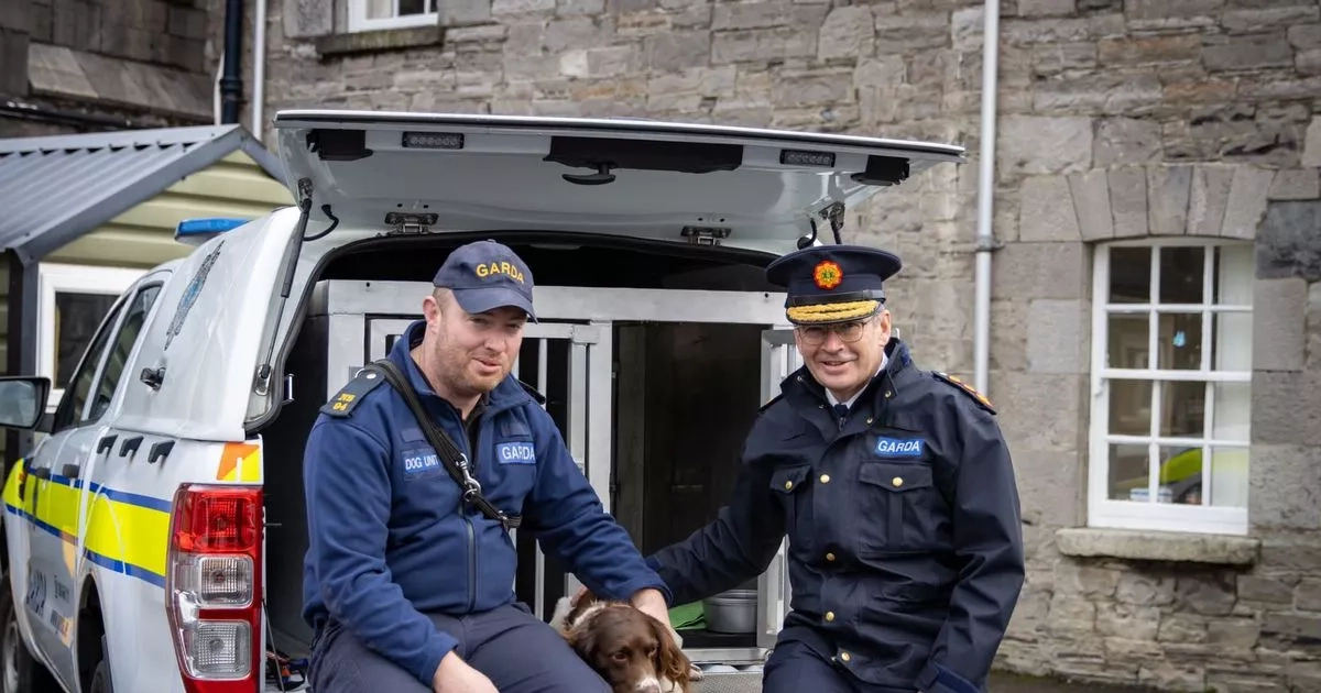 Dog unit Garda demand better facilities for themselves and canine colleagues