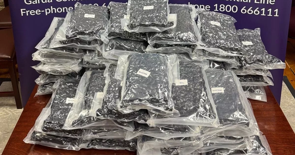 Two men arrested after Gardai seize €460k worth of cannabis in Dublin house raid