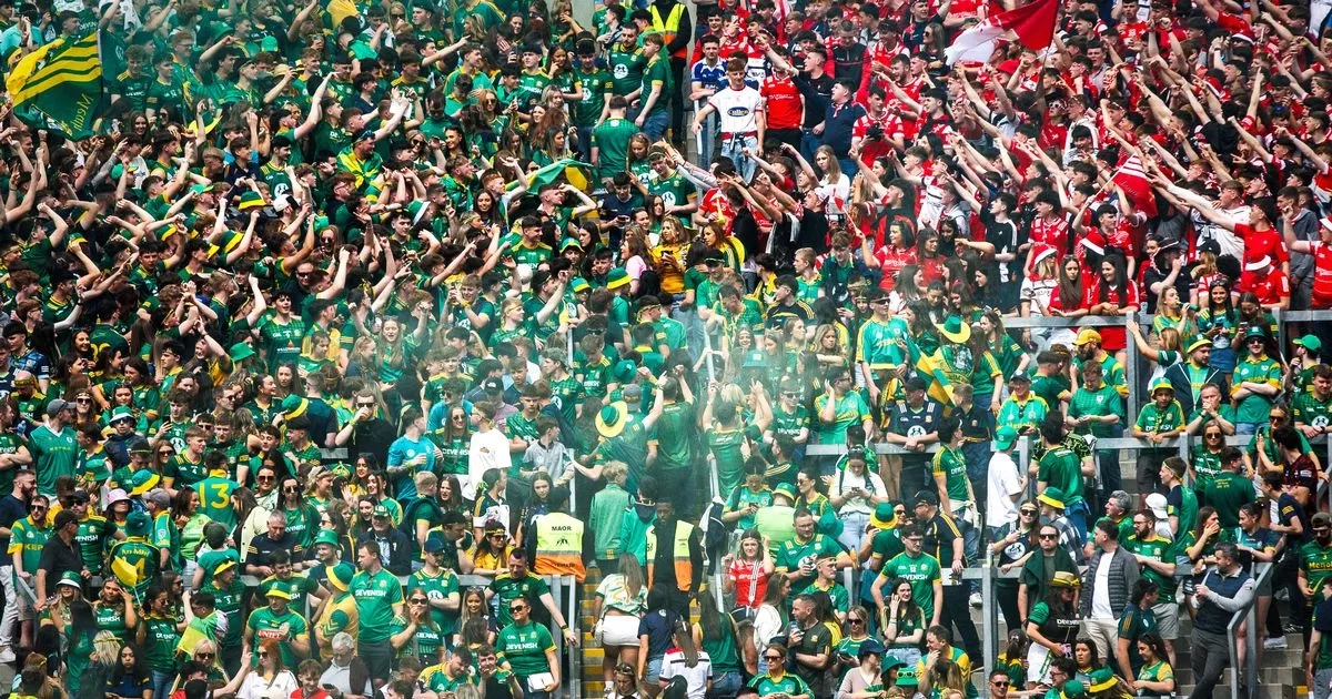 Video shows fight breaking out on Hill 16 during Louth v Meath