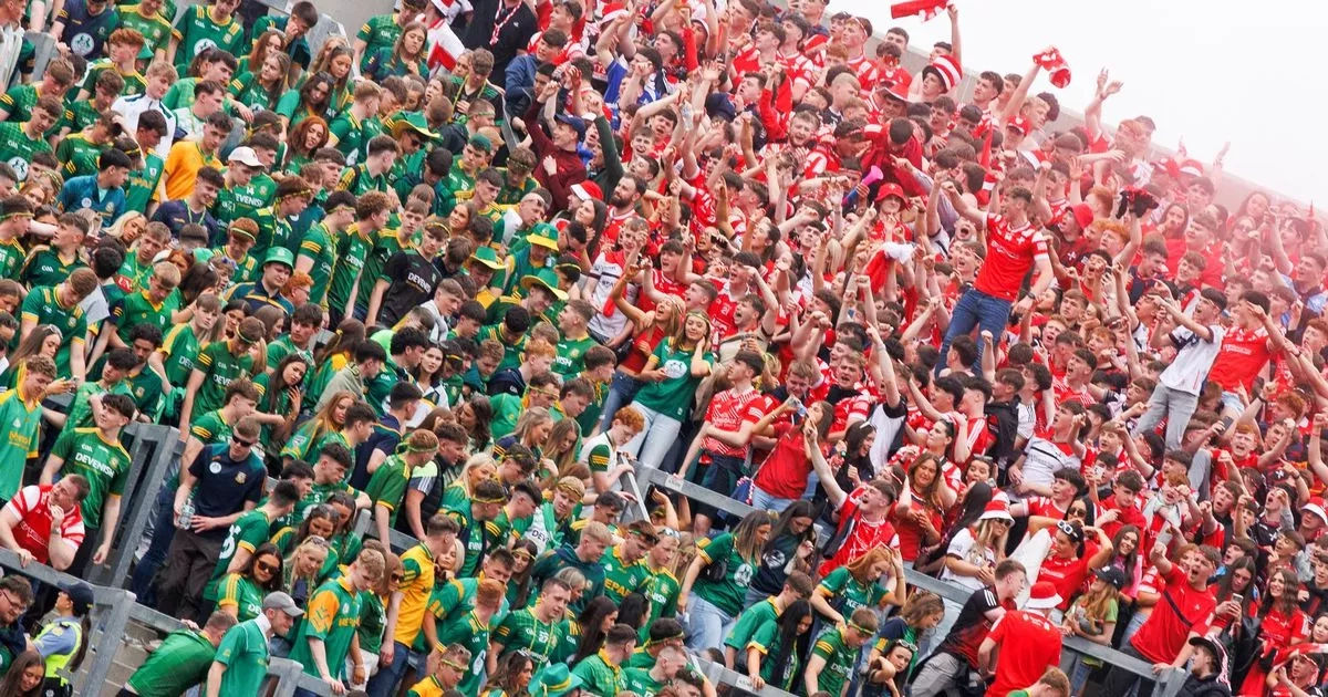 No arrests reported despite massive brawl during Louth v Meath
