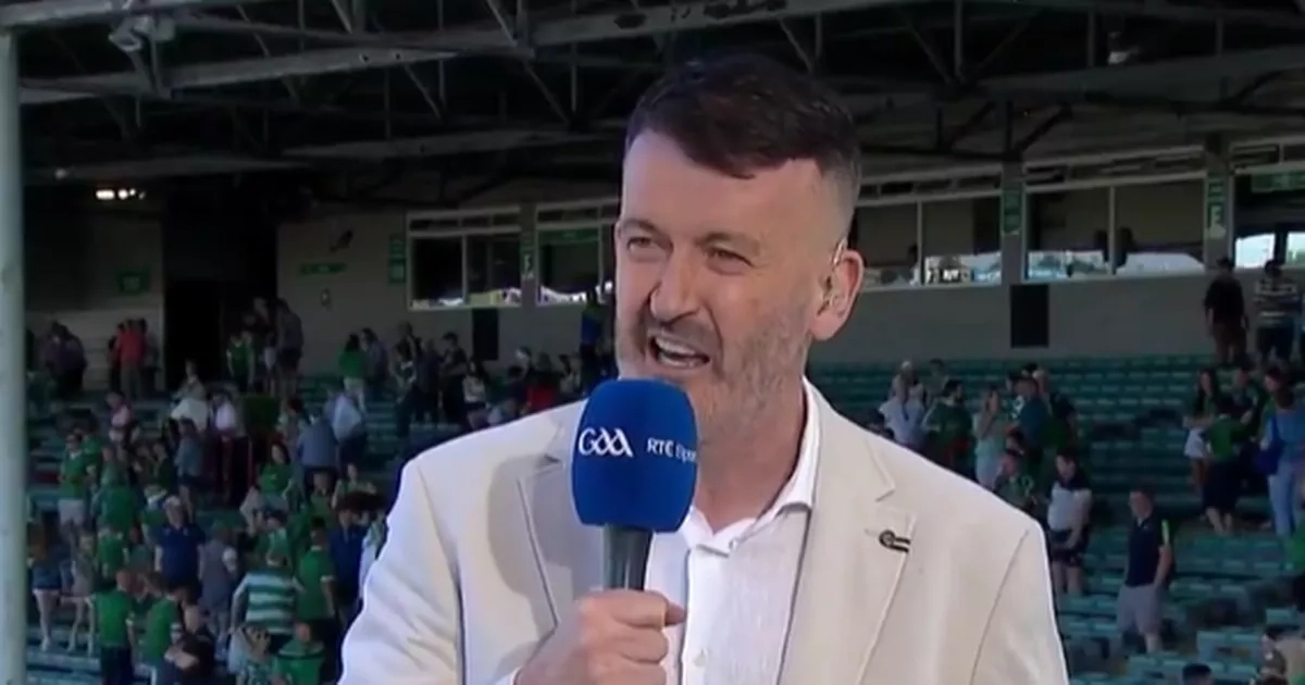 RTE pundit Dónal Óg Cusack taunted by Limerick fans after win over Cork