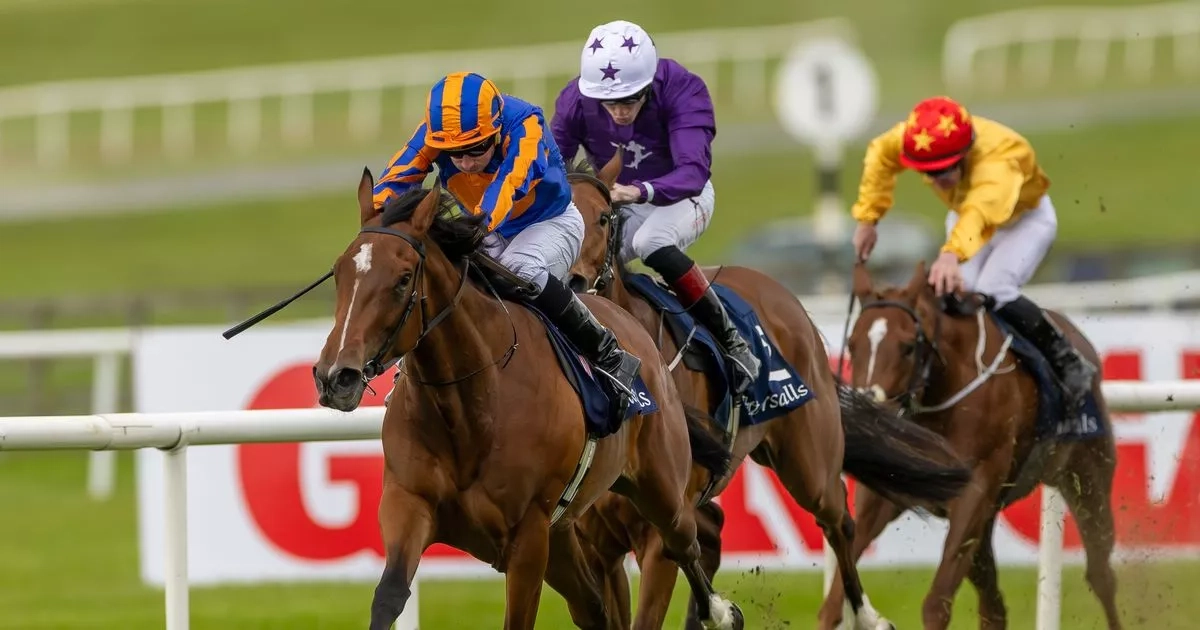Lake Victoria back to her best to land Irish 1,000 Guineas in style