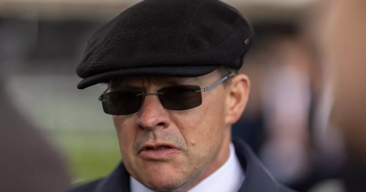 Aidan O'Brien has new flag-bearer following premature retirement of superstar