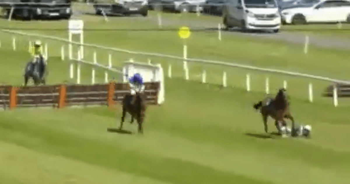 Review launched after jockey unseating at Wexford