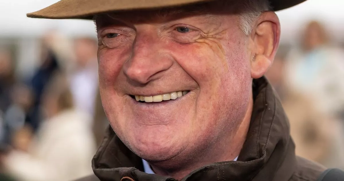 Mullins splashes out huge sum on horse that only finished third on debut