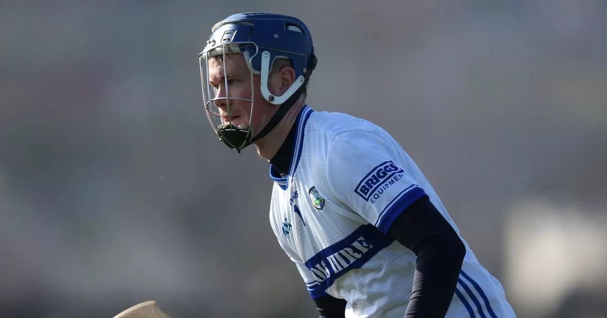 Laois keeper pulls off one of the best saves you will see in McDonagh Cup final