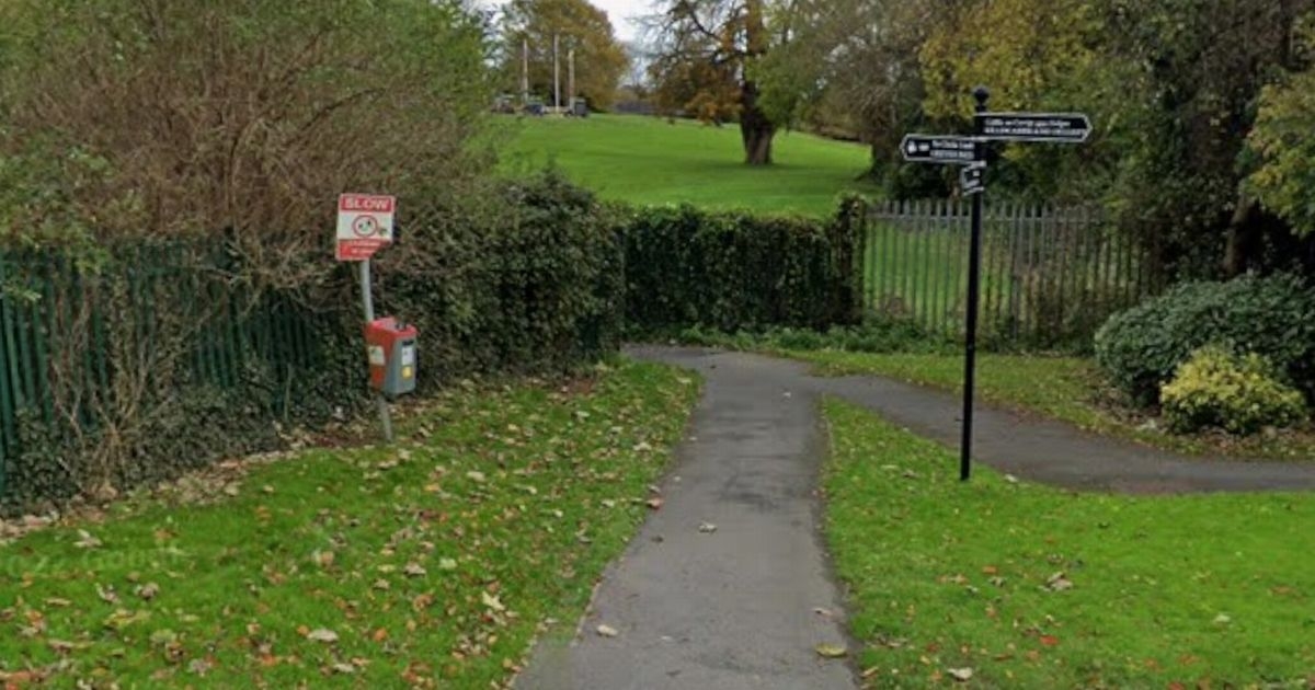 Greystones flasher showed his genitals to children on way to school