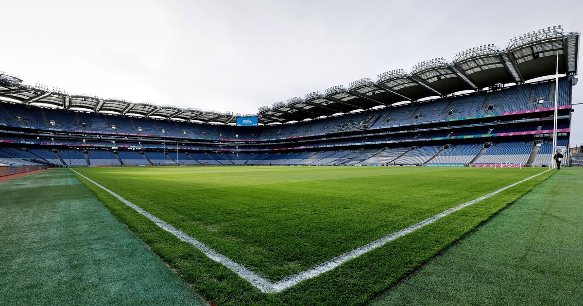 Wicklow v Limerick TV info, throw-in time, date and more for Tailteann Cup clash