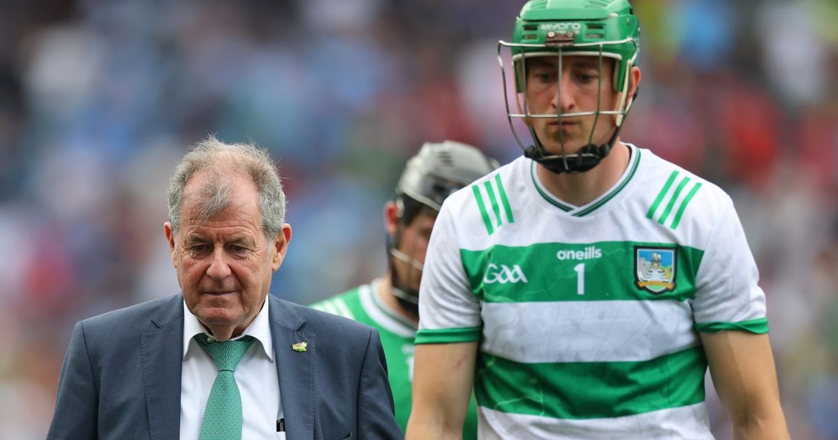 JP McManus consoles Limerick players on pitch following shock Dublin loss