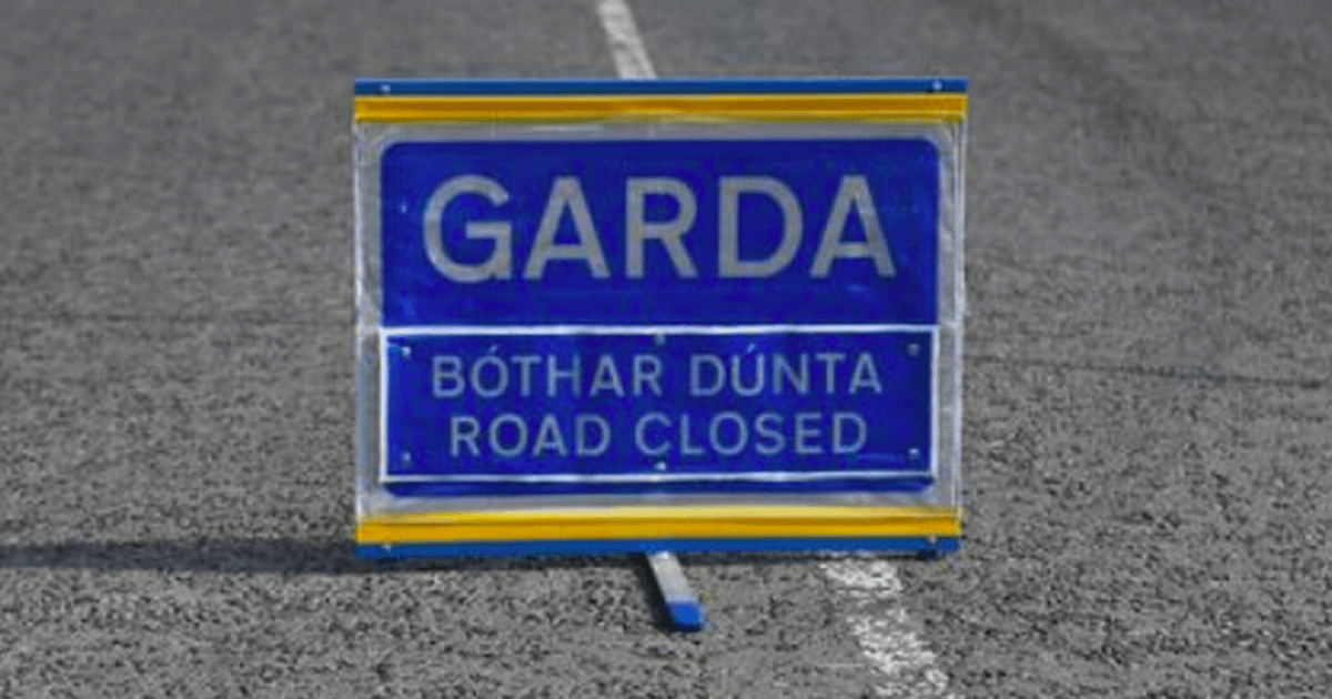Woman seriously injured after being struck by lorry as Gardai close busy road
