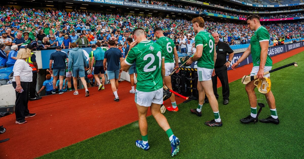 Irish Rail brutally troll Limerick fans after All-Ireland defeat to Dublin