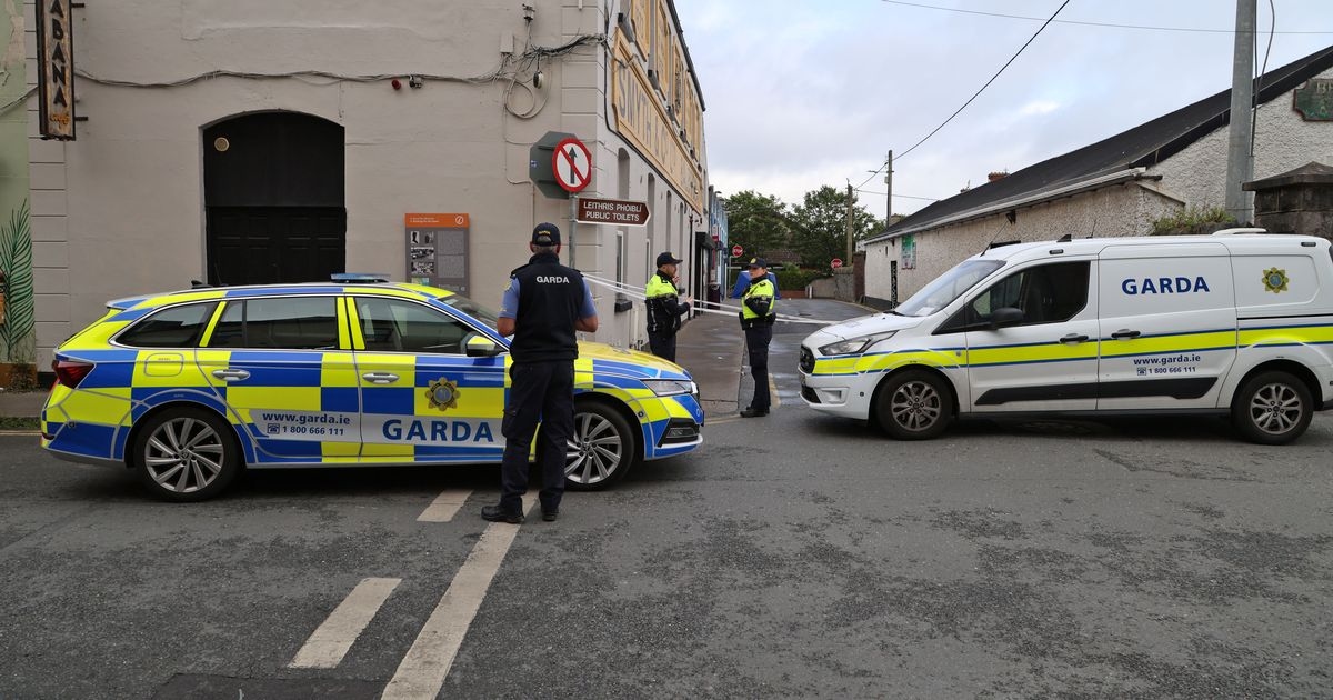 Gardai on high alert over fears of retaliation attacks after fatal hit and run