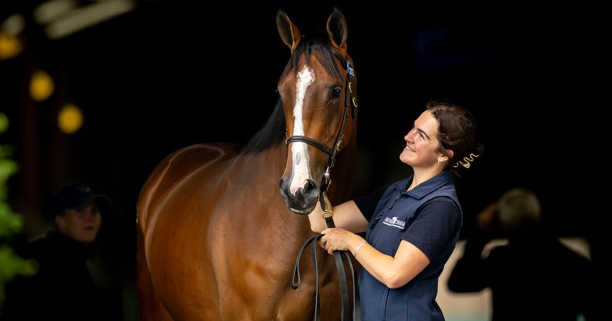 Over €17m changes hands as racing's biggest names splash cash and records broke