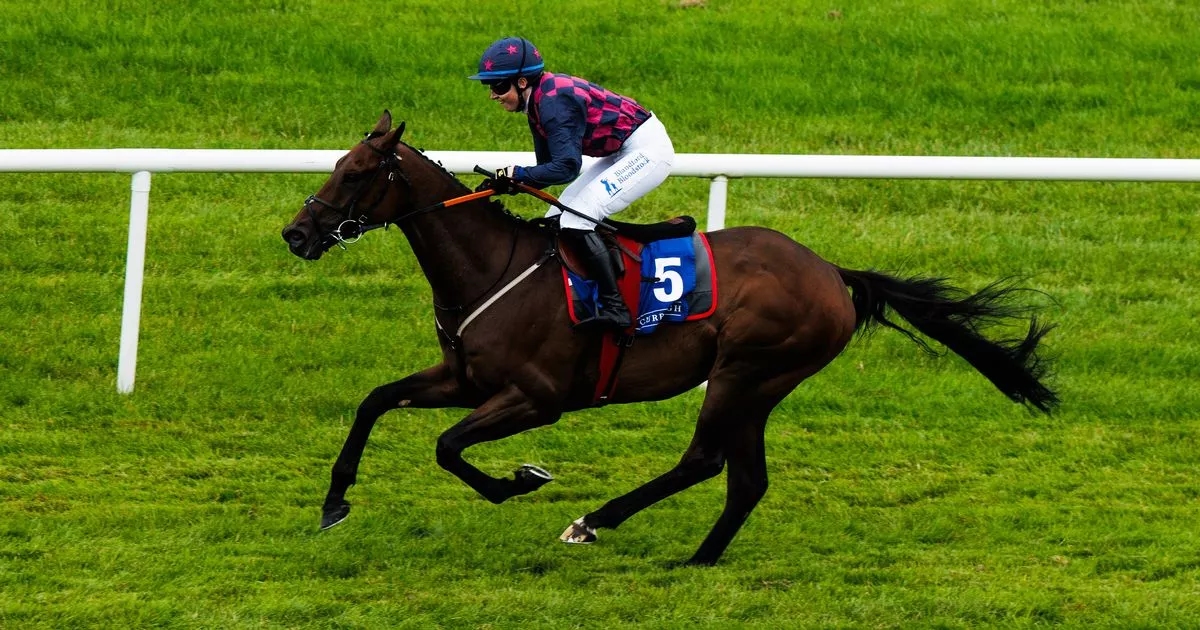 Galway Races Ladies Day tips: Robbie Power's selections for Thursday