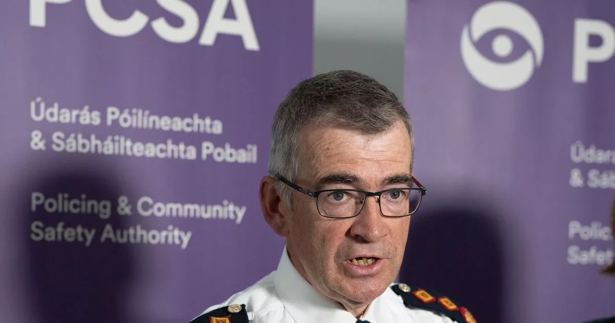Harris shocked by report saying some traffic Gardaí 'openly hostile' towards job