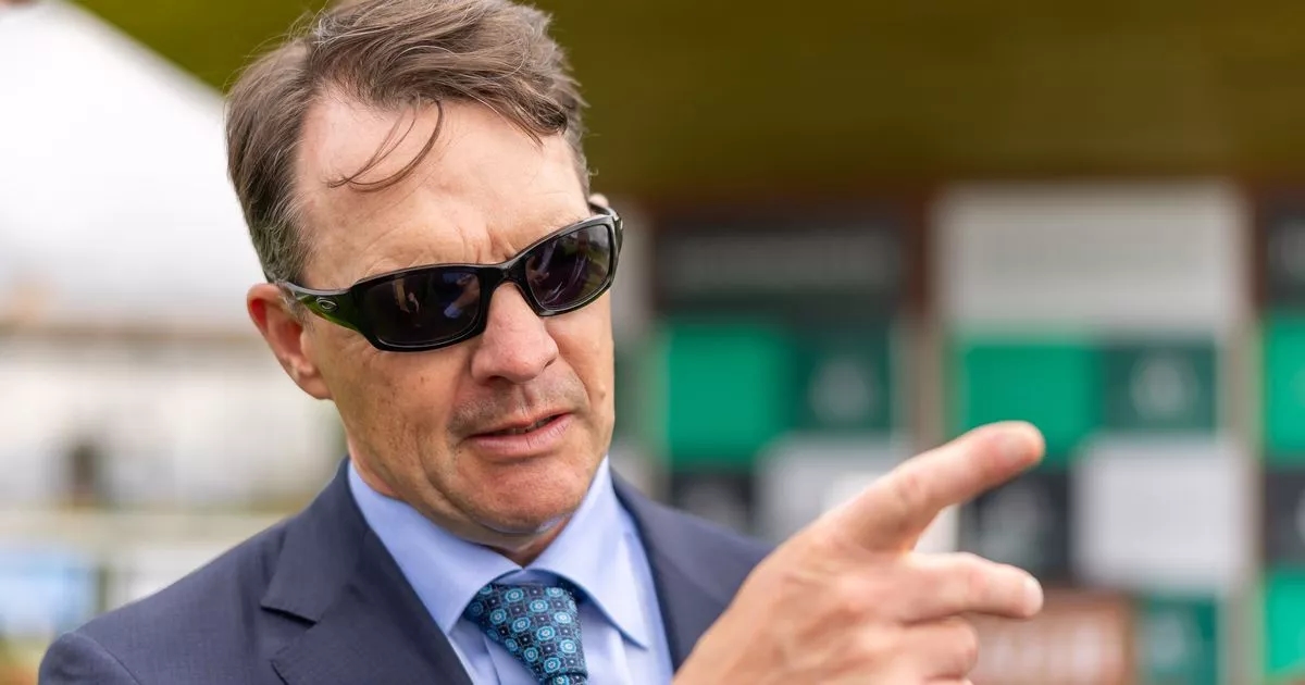 Aidan O'Brien says goodbye to 'tank of a horse'