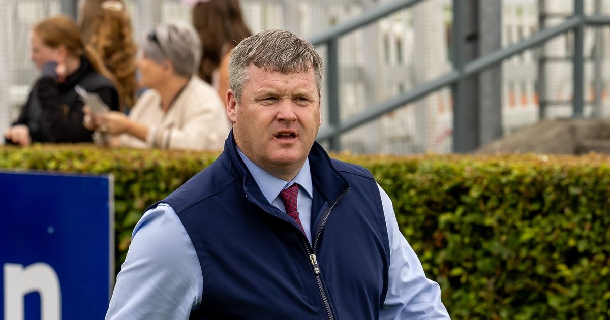 Gordon Elliott has €226k horse who beat Grand National winner removed from yard