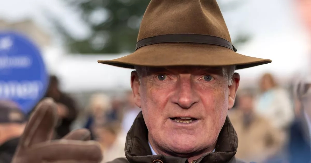Irish trainer targeting Cheltenham to avoid Willie Mullins