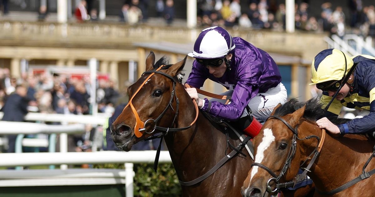 Winning horse dies in Epsom tragedy as Kia Joorabchian suffers heartbreak