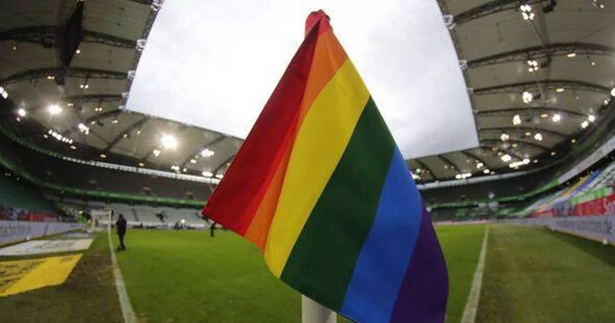 Gay footballer says some top players 'faking girlfriends' to hide sexuality