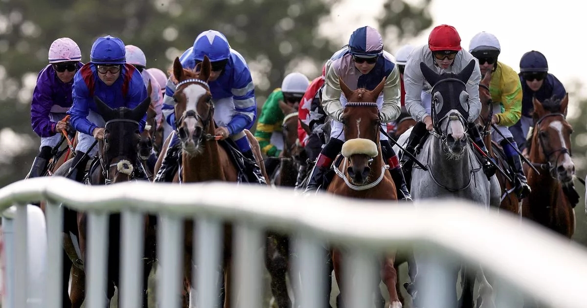 We stormed Cheltenham last March napping 28/1 winner Wonderwall, now for Galway
