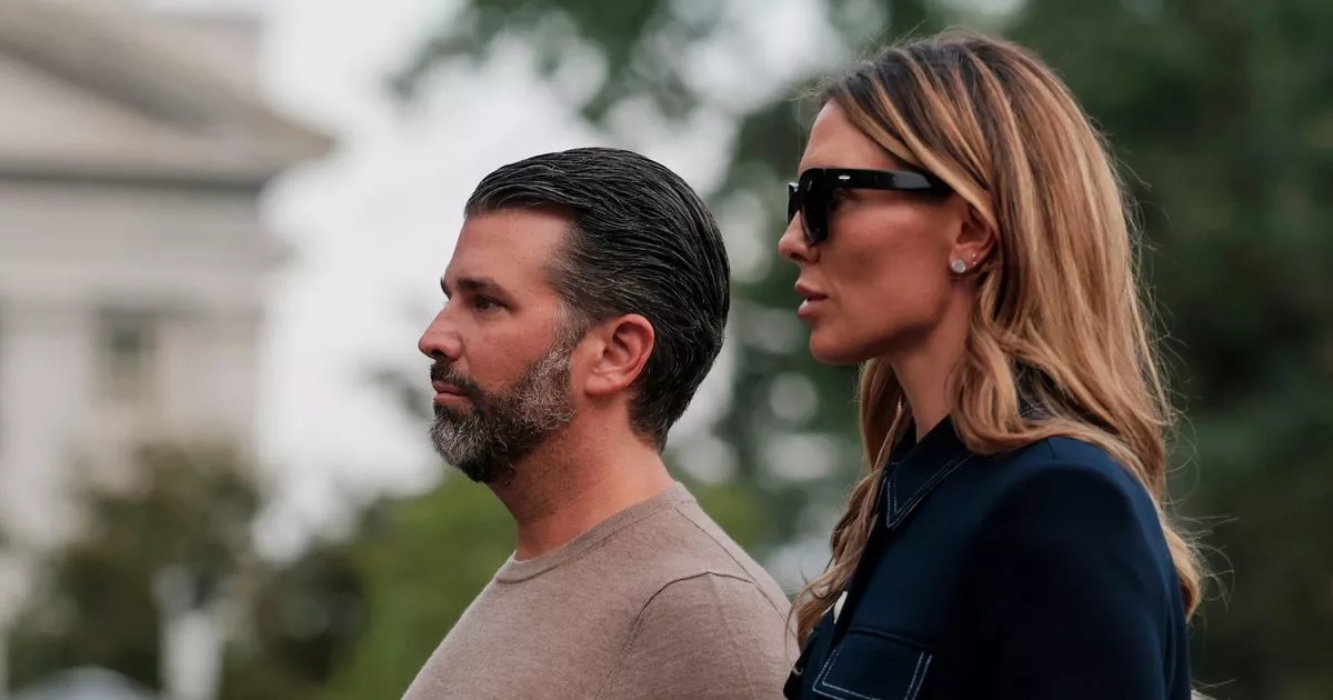 Don Jr savagely mocked for protruding nipples so large people think pic is edited