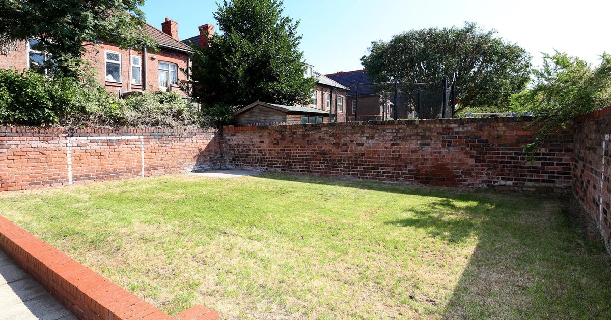 Gardeners urged to get rid of natural item on lawns - it's not moss