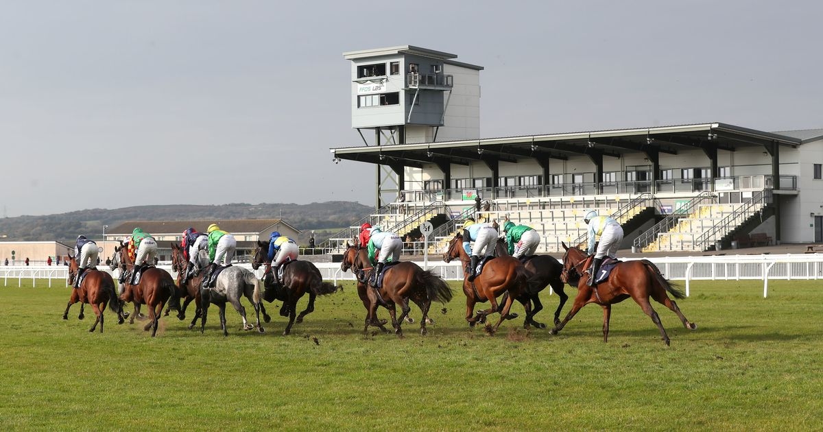 Newboy's horseracing tips for Monday's three meetings, including Ffos Las NAP