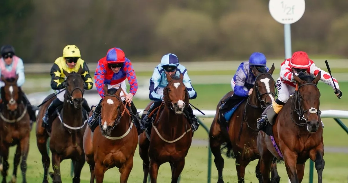 Newsboy's horse racing tips for Tuesday's five meetings including Nottingham NAP