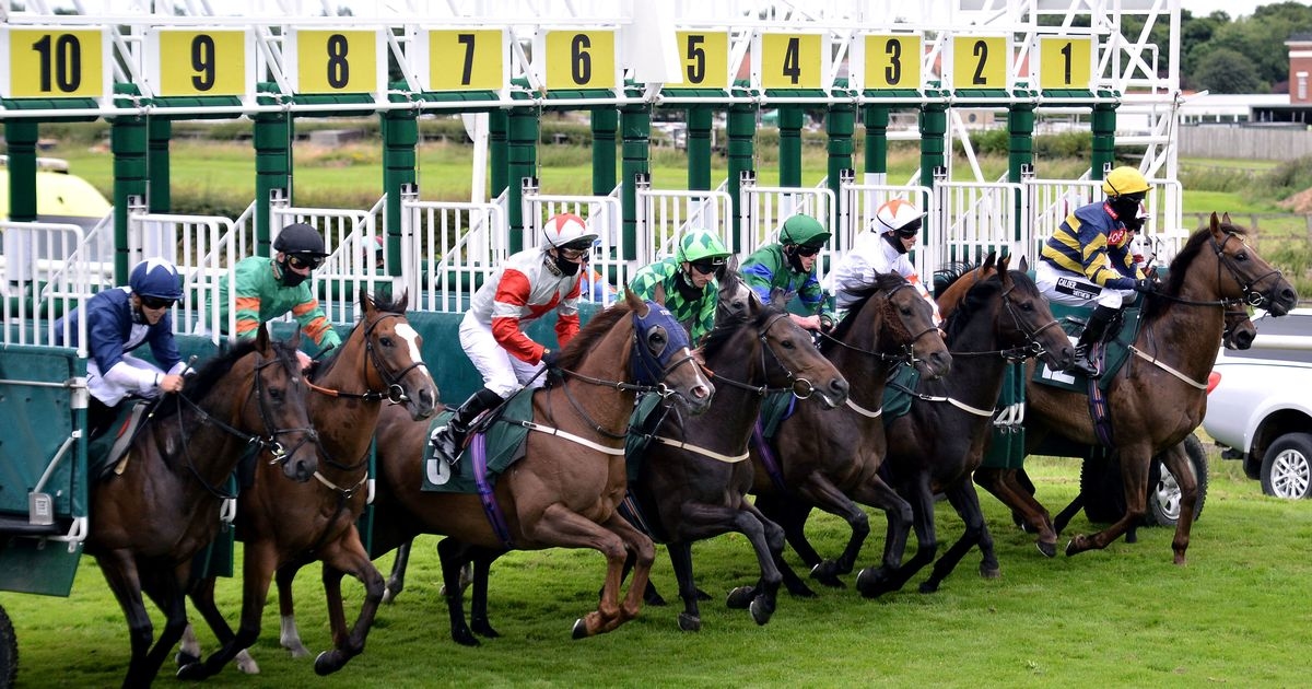 Newsboy's horse racing tips for Monday's four UK meetings