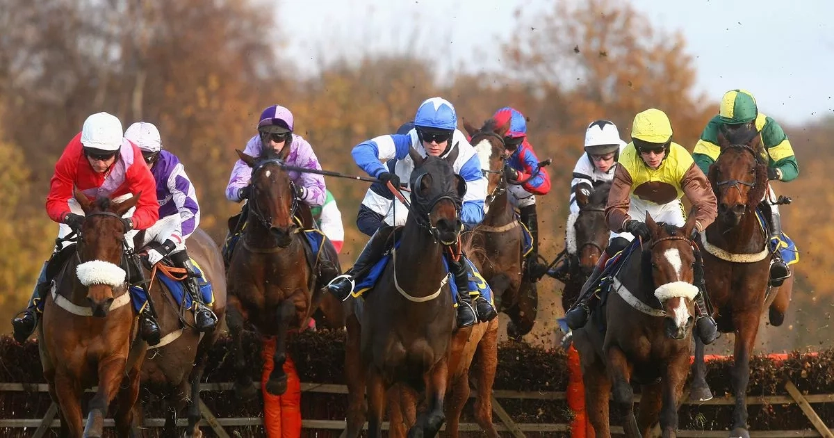 Newsboy's horseracing tips for Tuesday's four meetings, including Fakenham Nap