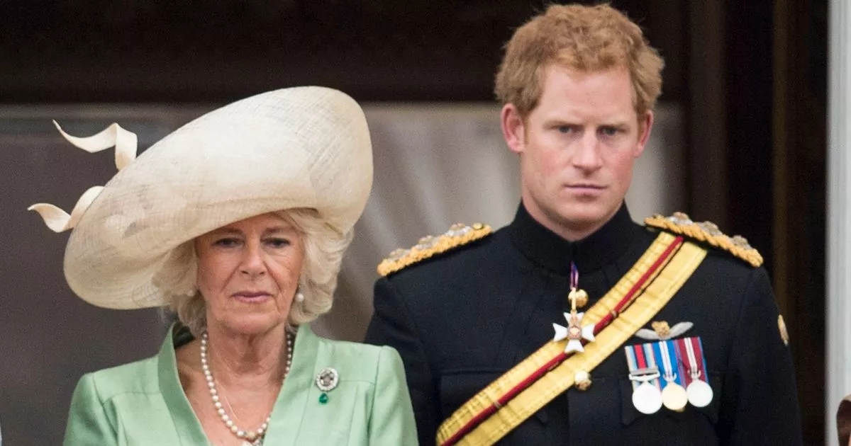 'I lived with Prince Harry for years - his brutal claim about Camilla doesn't add up'