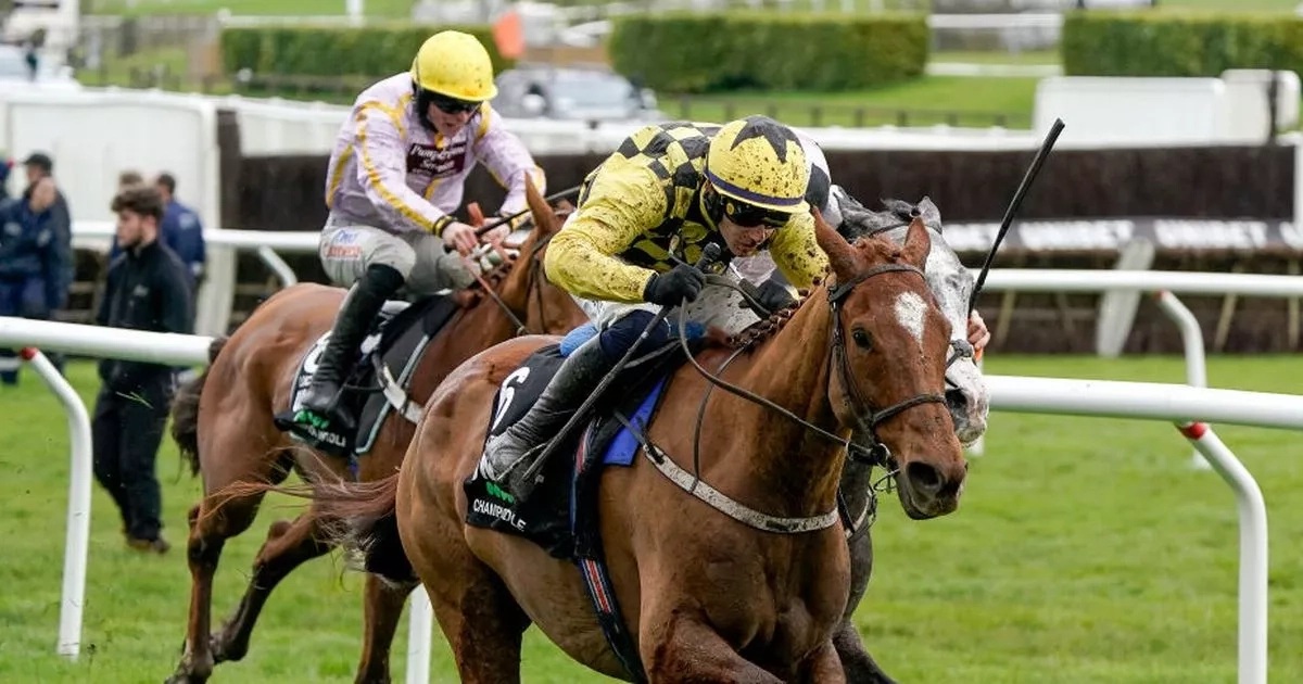 Horse racing tips: Four to follow at the Punchestown Festival and Newmarket on Friday
