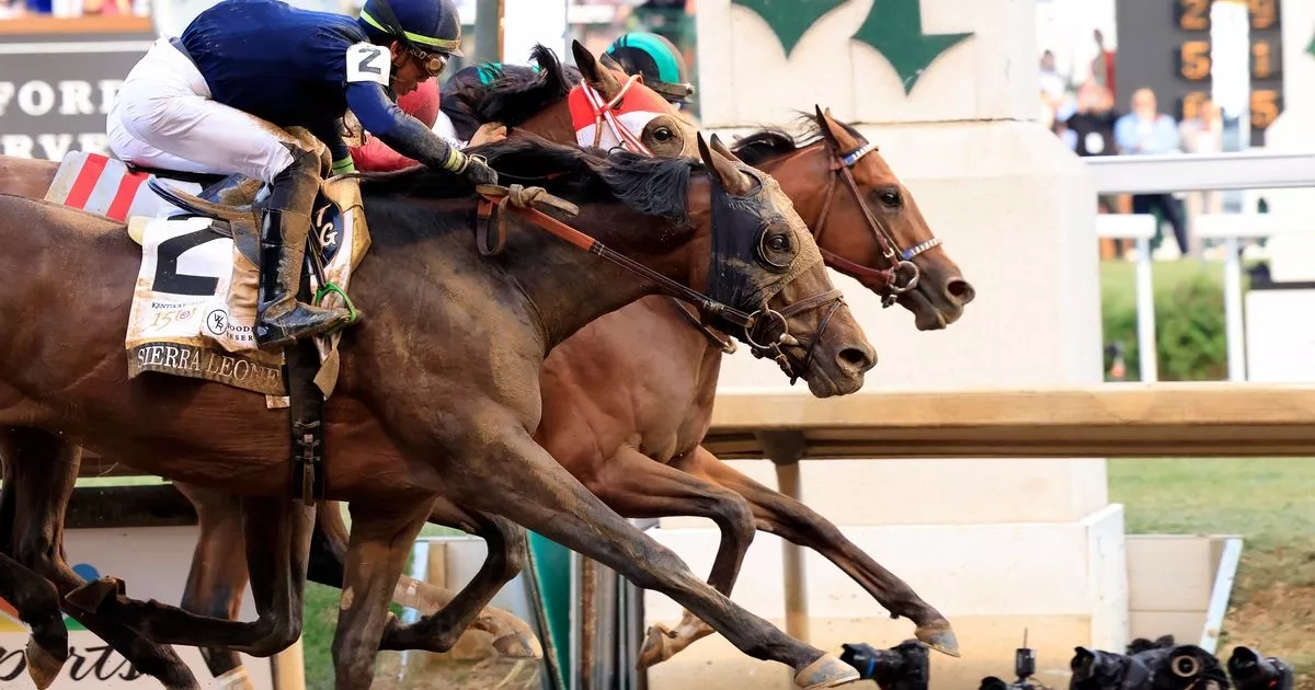I tipped the 1,113-1 Kentucky Derby trifecta last year - here are my three for 2025 race