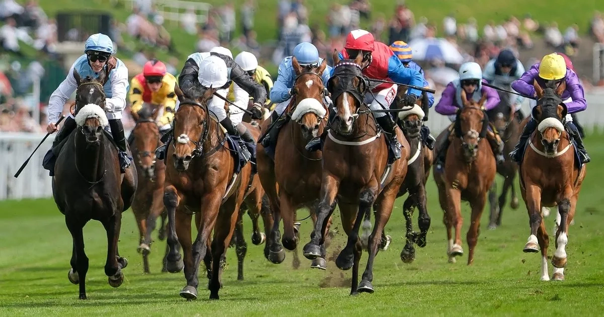 Newsboy's ITV4 selections for Chester and Newton Abbot plus tips from Wednesday's other three meetings